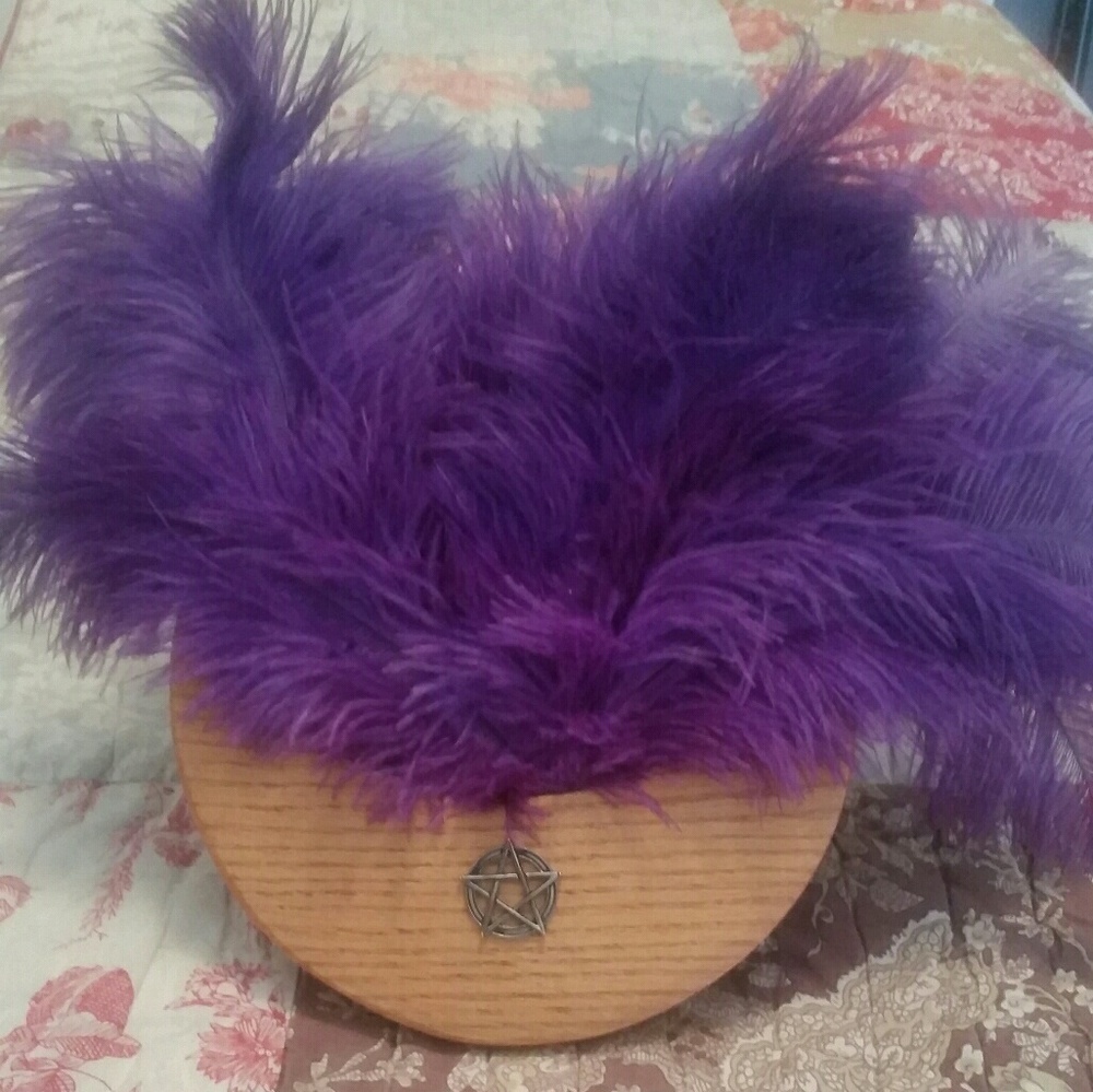 Ostrich feather smudge fan